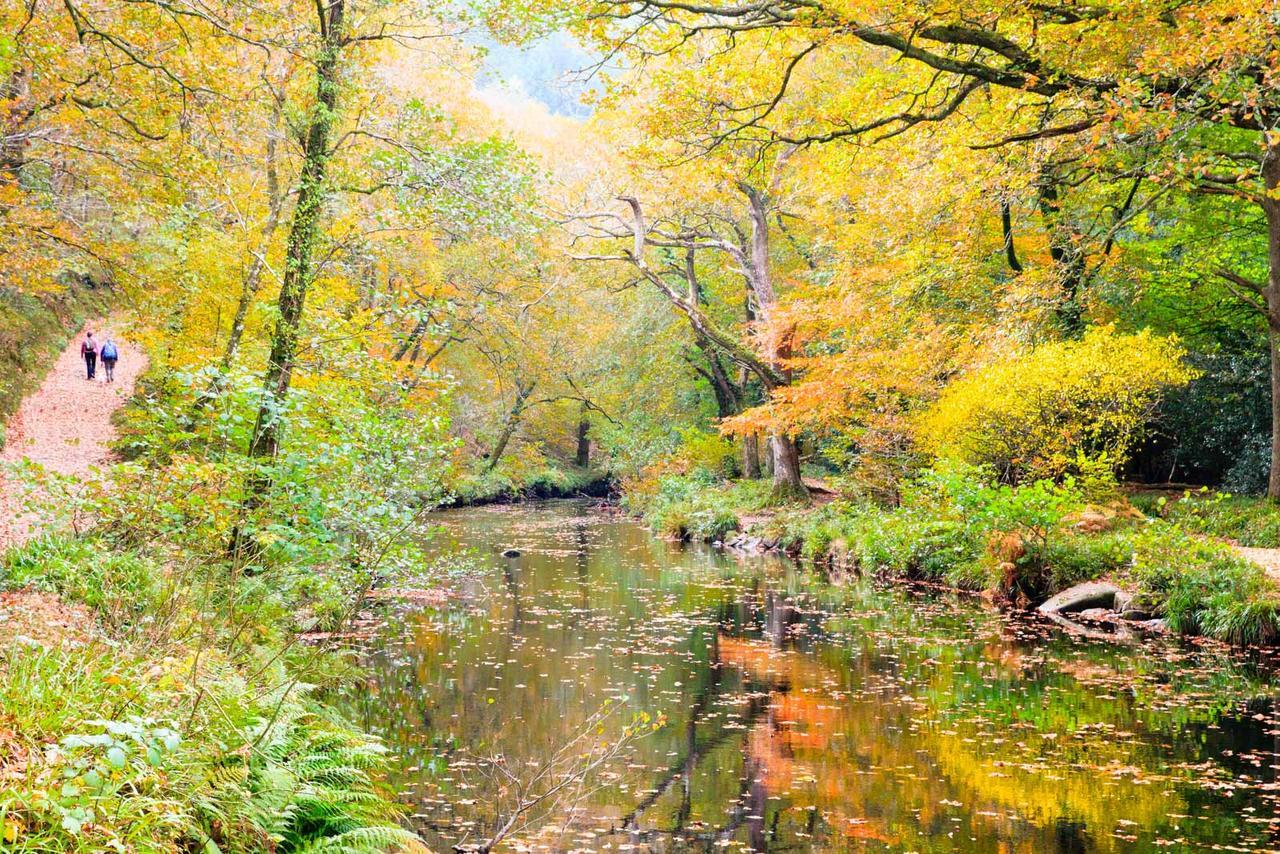 Moorland View Cottage North Bovey 外观 照片